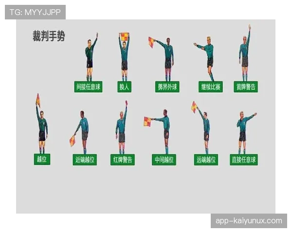 外物入场算犯规吗？裁判判罚规则全解析