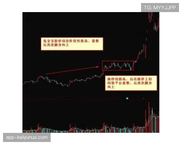 进攻重置规则解析：判定时机、流程与判罚案例